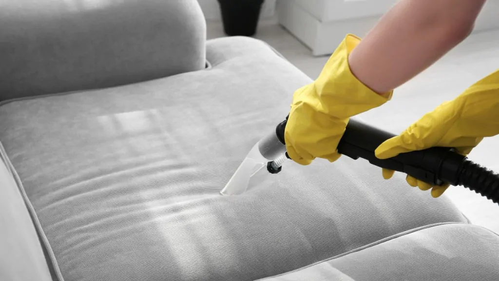 profissional lavando sofá
